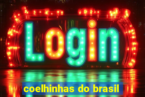 coelhinhas do brasil